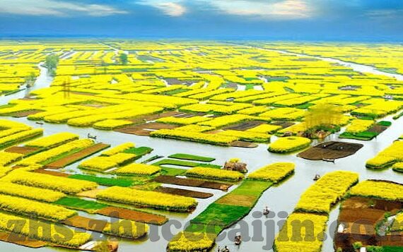 开云体育官网登录入口-登录开云体育官网，开启体育运动的无限可能